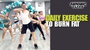 'Daily Exercise To Burn Fat | Aerobic Workout to Lose Belly Fat Quickly | Aerobic Class'