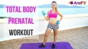 'Prenatal Workout: Total Body For First and Second Trimester'